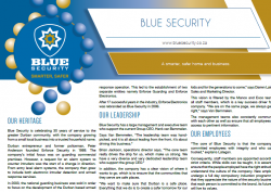 Blue Security