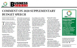Nigel Ward - Comment on 2020 supplementary budget speech